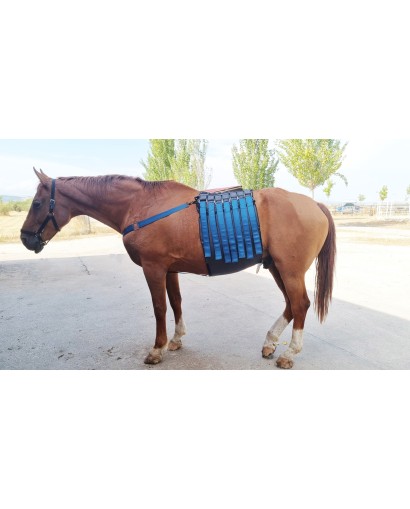 COBREX EQUINE RECOVERY BELT...