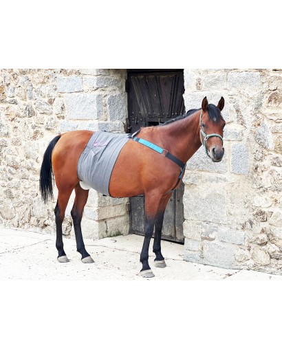 COBREX EQUINE RECOVERY BELT...